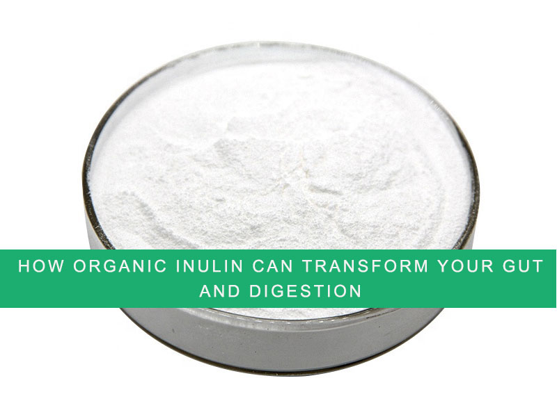 Comment l'inuline organique peut transformer votre intestin et votre digestion